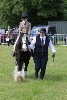 thornton-le-dale-gala showclass7acharity25-5-20035